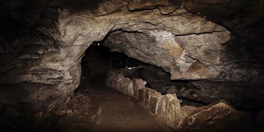 Cueva de Aillwee descubrimiento