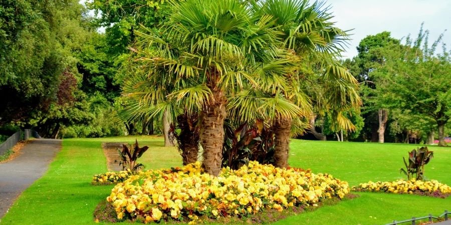 hermosos parques de Dublín