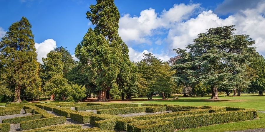 El Phoenix Park Parque Dublín 