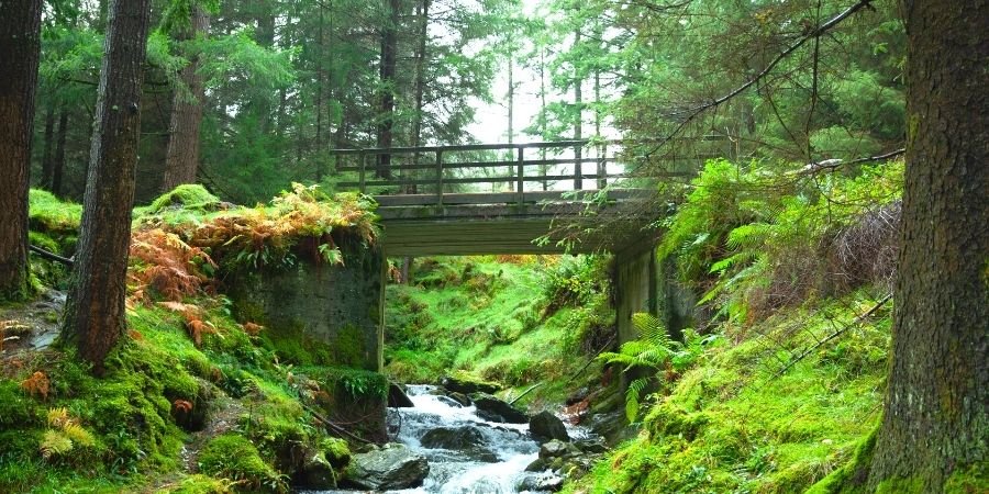 Parque Nacional Wicklow