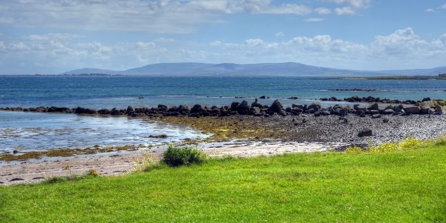 Galway bella 