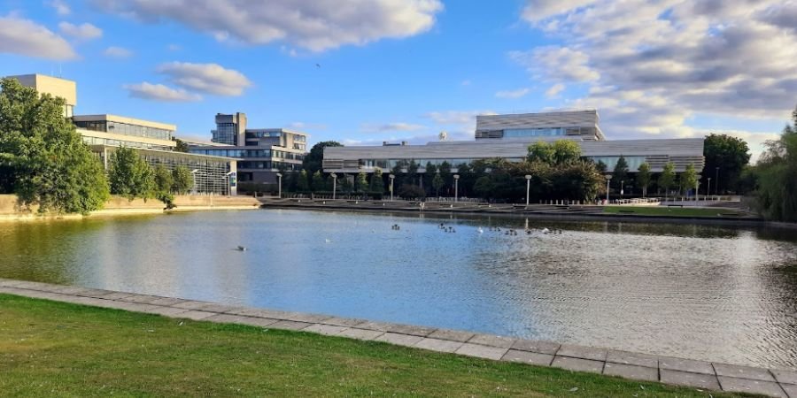 UCD universidad
